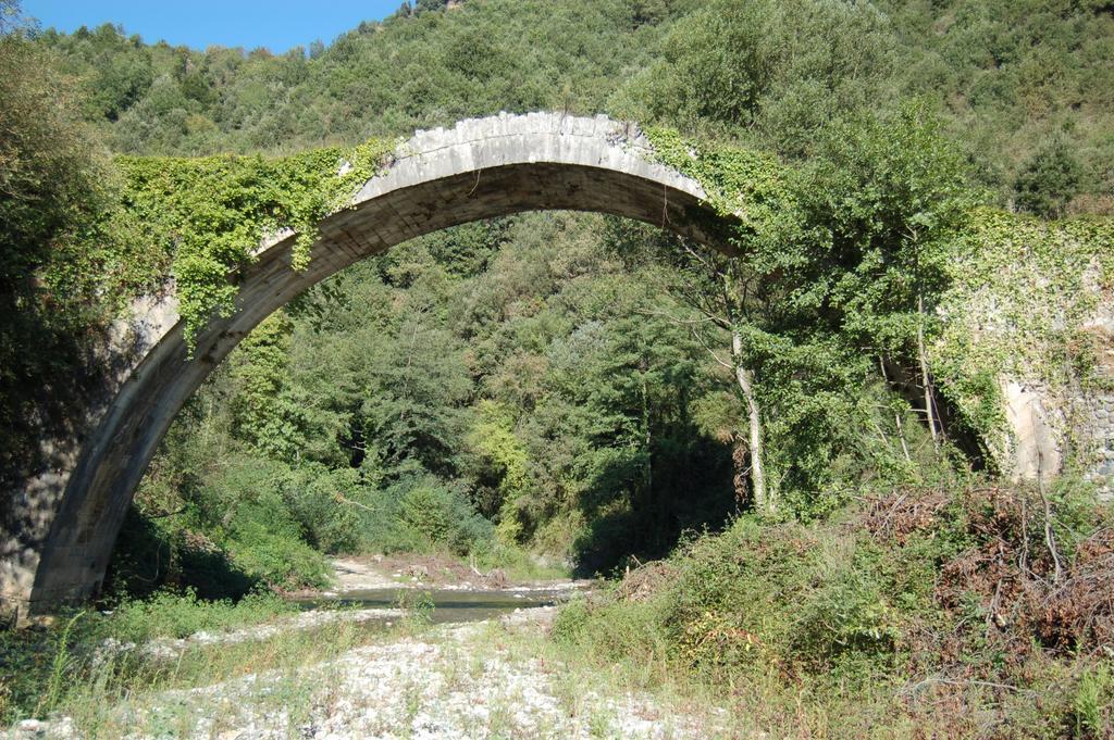 B&B Calabria Scigliano Екстер'єр фото