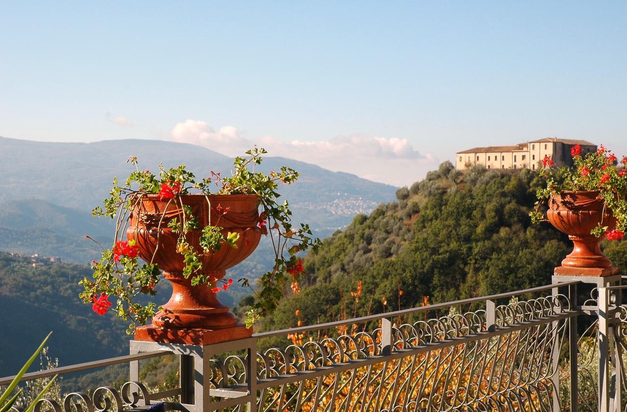 B&B Calabria Scigliano Екстер'єр фото
