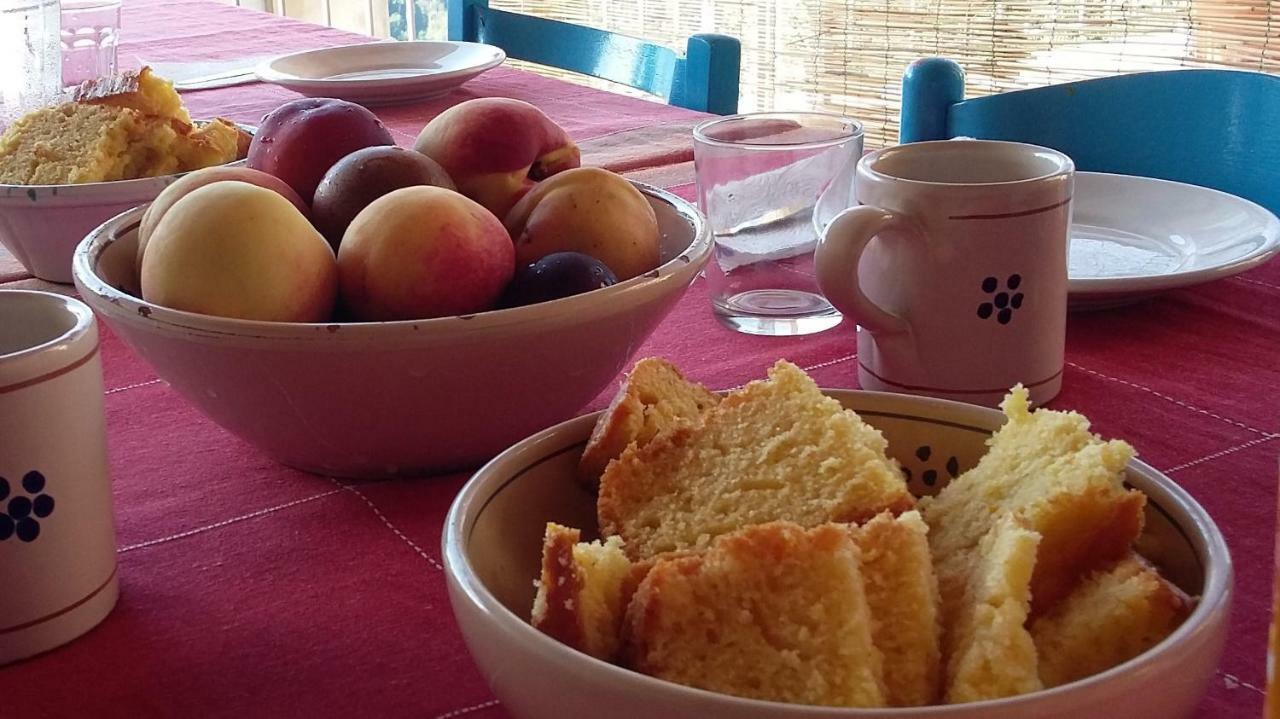 B&B Calabria Scigliano Екстер'єр фото