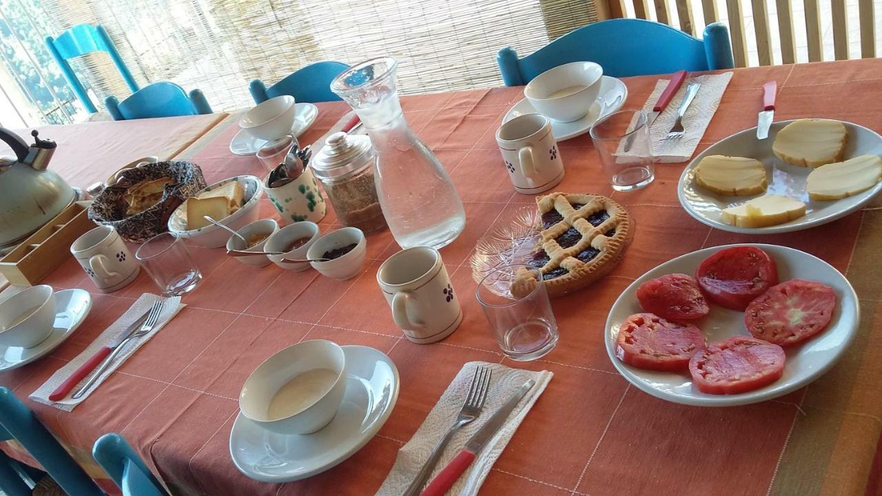 B&B Calabria Scigliano Екстер'єр фото