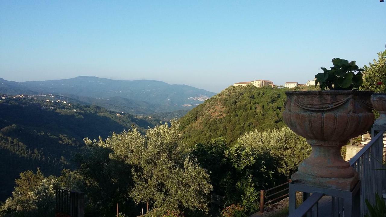 B&B Calabria Scigliano Екстер'єр фото